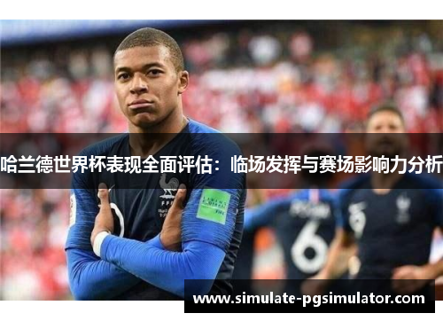 哈兰德世界杯表现全面评估：临场发挥与赛场影响力分析