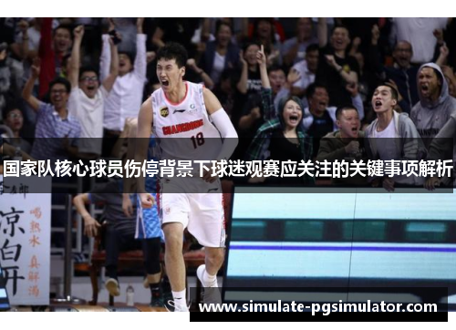 国家队核心球员伤停背景下球迷观赛应关注的关键事项解析