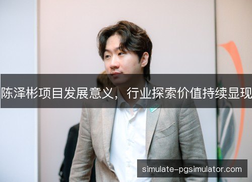 陈泽彬项目发展意义，行业探索价值持续显现